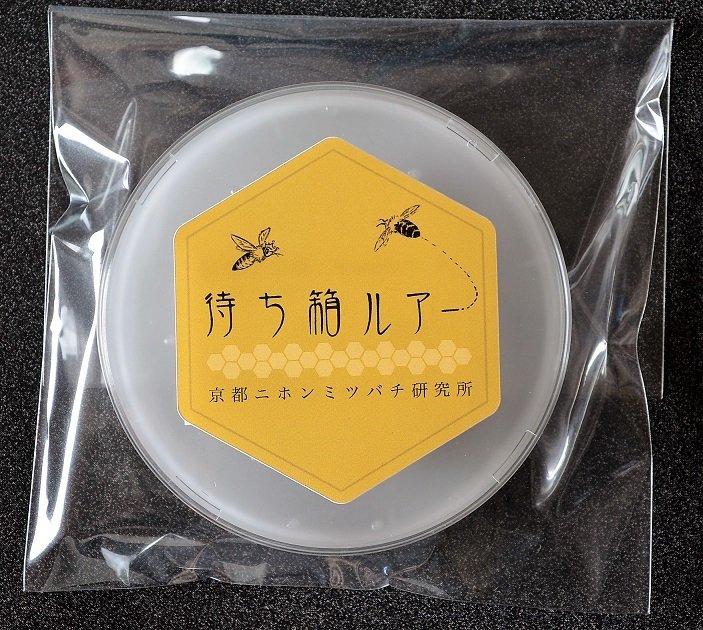 待ち箱ルアー | 東洋蘭専門店（有）高千穂興園