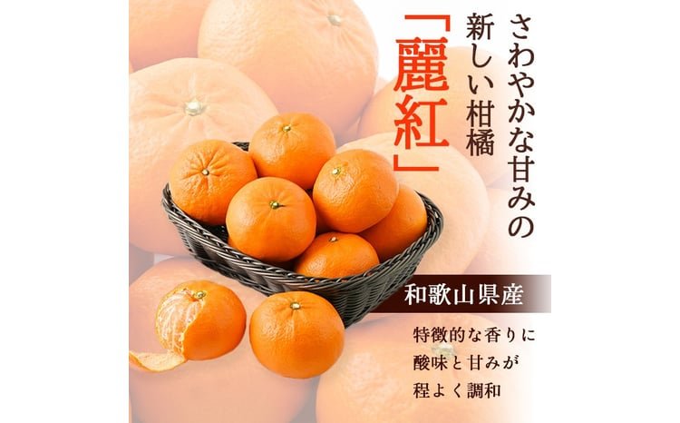 麗紅 （ れいこう ） 4kg / オレンジ 甘い 和歌山 有田 柑橘 ※2月中旬